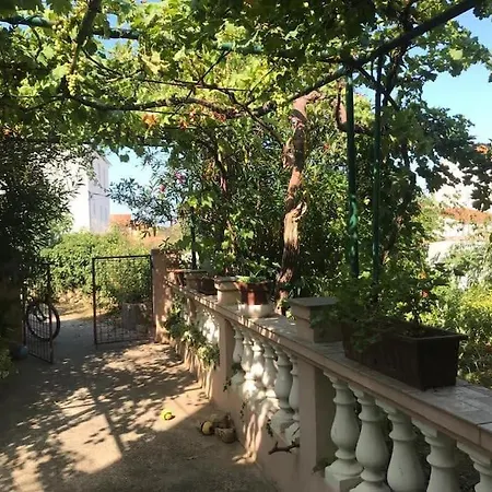 Daire Klara- Blue Olib