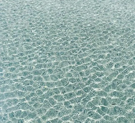 Klara- Blue Olib