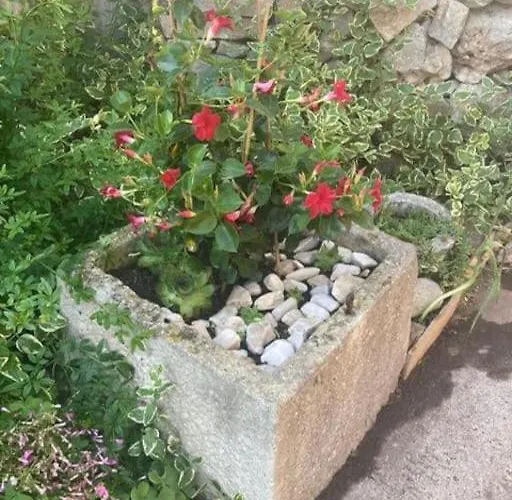 Apartment Klara- Blue